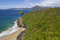 Aerial view of Codfish Island looking north towards Stewart Island, off southern New Zealand, main home of the endangered Kakapo, January 2009