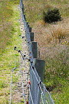 Predator fence near Te Anua, South Island, New Zealand, designed to keep introduced predators out of designated zones to protect flightless birds, January 2009