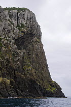 Sea cliff, Chatham Islands, off southern New Zealand, Janaury 2009