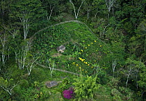 Aerial view of huts and enclosed garden, Papua New Guinea, August 2007