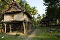 Traditional hut on stilts, Papua New Guinea, September 2007