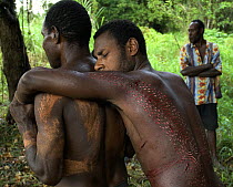 Young man carried along after initiation ceremony in which his body is scared to represent being swallowed by a crocodile and re-born as a crocodile-man, Papua New Guinea, September 2007