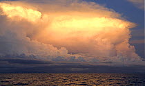 Seascape with clouds at sunset, Solomon Islands, Melanesia, Pacific ocean
