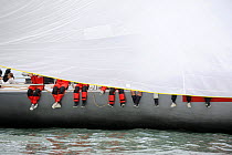 Legs of "Luna Rossa" crew visible under sail, Cowes Week, August 2009.
