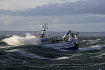 Fishing vessel "Harvester" in heavy seas, North Sea, October 2008. Property Released.
