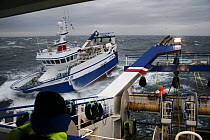 Aboard "Ocean Harvest" 40-50 miles East of Newcastle on the Barnacle Bank. "Harvester" is manoeuvring alongside to receive his side of the net at the start of a pair trawl operation, October 2008.  Pr...