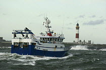 Fishing vessel "Harvester" in heavy seas off Buchanness lighthouse near Peterhead, NE Scotland. October 2008. Property Released.