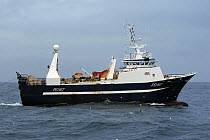 Twin rig stern trawler "Atlantic Challenge" fishing for cod and saithe on the continental shelf west of the Shetlands, June 2008.