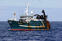 Fishing vessel "Norlan" trawling for prawns on the North Sea, June 2008.