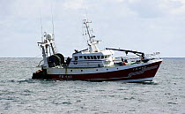 French-built prawn trawler "Steadfast" fishing on the North Sea, June 2008.