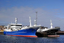Two pelagic trawlers moored alongside in Peterhead Harbour, Aberdeenshire, July 2008.