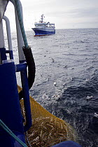 Catch of cod being winched alongside the pair trawling team "Harvester" and "Ocean Harvest", Norwegian sector of the North Sea, August 2008.  Property Released.