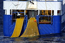 Net full of fish being winched onboard trawler "Ocean Harvest". Norwegian sector of the North Sea, August 2008.  Property Released.