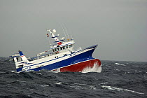 Pair trawler "Harvester" fishing for haddock on the North Sea, August 2008.  Property Released.