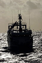 Silhouetted fishing trawler "Harvester" on silvery sea, North Sea, 2008.  Property Released.