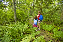 Woman and child walking along wooden walkway though woodland at the Willow Brook and Fleetwood Farms Preserve in Pembroke, Massachusetts, USA. Model Released. May 2008
