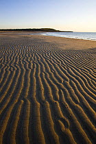 Patterns in the sand on the beach at the Shifting Lots Preserve, Plymouth, Massachusetts, USA. Owned by the Wildlands Trust. Cape Cod Bay. Near Ellisville Harbor State Park. May 2008