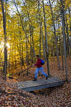 Hiker walking over a footbridge in autumn, near the Presumpscot River, Portland, Maine, USA. Model Released. October 2008
