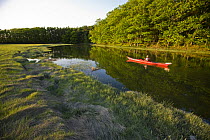 A woman kayaking on the upper reaches of the York River at high tide, York, Maine, USA. Model Released. May 2008