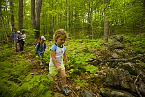 Family explores a woodland trail at Highland Farm, York, Maine, USA. Model Released. May 2008