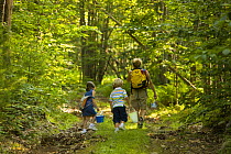 Woman and young children walk along an old woods road in Alton, New Hampshire, USA. Model Released. July 2008