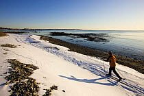 A man cross country skiing along the coast at Odiorne Point State Park in Rye, New Hampshire, USA. Model Released. winter 2007
