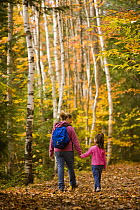 Woman and child (aged 6) walking through woodlands in autumn, Lincoln's Woods Trail, White Mountains National Forest, New Hampshire, USA. Model Released. October 2007