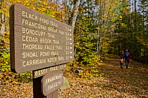 Signpost for hikers on Lincoln's Woods Trail, White Mountains National Forest, New Hampshire, USA. Model Released. October 2007