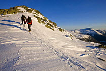 Winter hiking on Mount Clay above the Great Gulf, Gulfside Trail, Northern Presidential mountain range, White Mountains, New Hampshire, USA. Model Released. March 2008