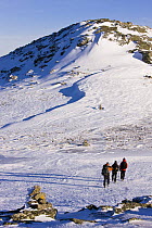 Winter hikers ascend Mount Clay, Gulfside Trail, Northern Presidential mountain range, White Mountains, New Hampshire, USA. Model Released. March 2008