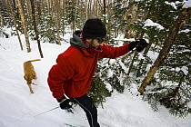 A man cross country skiing with his dog on the Catamount Trail, Stowe, Vermont, USA. Model  Released.