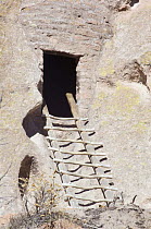 Ladder leading to cliff dwelling of the ancient native american Pueblo people, Bandelier National Monument, New Mexico, USA, February 2009