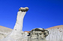 Rock formations in Bisti Wilderness Area, near Farmington, Bisti Badlands, New Mexico, USA, February 2009