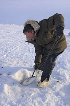 Adventure guide catching Sheefish (Stenodus leucichthys nelma) through a hole in the pack ice over the Chukchi Sea, for the village elders of Kotzebue, Alaska, March 2008