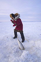 Young Inupiaq woman pulling Sheefish (Stenodus leucichthys nelma) out of a hole in pack ice over the Chukchi Sea, for the village elders of Kotzebue, Alaska, March 2008