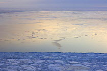 Freshly frozen pack ice off Cape Thompson, 26 miles south of Point Hope, Arctic coast of Alaska, March 2008