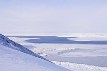 Crack forming in pack ice over the Chukchi Sea, creating an open lead, blown open by strong winds, indicating thinning sea ice, near Point Hope, Alaska, March 2008