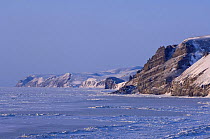 Pack ice along coast at Cape Lisburne, 40 miles NE of Point Hope, Lisburne Peninsula, Arctic coast of Alaska, March 2008