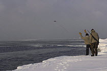 Inupiaq subsistence hunters throwing a hook out to pull in a Ringed seal (Phoca hispida) catch, on the pack ice outside the Arctic village of Point Hope, Chukchi Sea, Alaska, April 2008