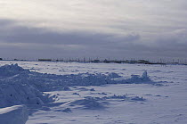The oldest Inupiaq village of Point Hope as seen from the pack ice, Lisburne Peninsula, North Slope, along the western Arctic coast of Alaska, April 2008
