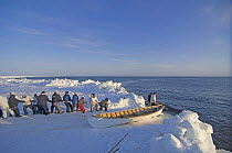 An Inupiaq whaling crew pulling in Bowhead whale (Balaena mysticetus) catch at the edge of an open lead in the pack ice during spring whaling season, off the Arctic coastal village of Point Hope, Chuk...