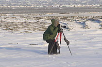 Woman taking photographs along the Arctic coast in autumn, Kaktovik, Barter Island, 1002 Coastal Plain of the Arctic National Wildlife Refuge, Alaska, October 2008