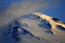Mount Elbrus the highest mountain in Europe (5,642m) surrounded by clouds seen from Mount Cheget in the early morning, Caucasus, Russia, June 2008