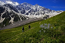Hikers walking along a path with Mount Donguzorun (4,448m) in the distance, Caucasus, Russia, June 2008