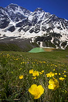 Lake Donguzorun with Mount Donguzorun mountains behind, meadow flowers (Ranunculus sp) Caucasus, Russia, June 2008