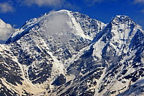 Mount Donguzorun (4,448m) with Yellow-billed / Alpine chough (Pyrrhocorax graculus) flying, Caucasus, Russia, June 2008.