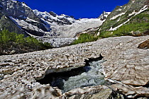 Alibek glacier in Alibek valley near Dombay, Teberdinsky Biosphere reserve, Caucasus, Russia, July 2008