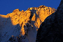 First light on snow covered mountain near Dombay, Teberdinsky biosphere reserve, Caucasus, Russia, July 2008