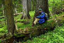 Guide and ornithologist, Vladimir Arkhipov, sitting on a fallen Nordmann fir (Abies nordmanniana) tree, old-growth forest, Arkhyz valley, western part of the Teberdinsky Biosphere reserve, Caucasus, R...