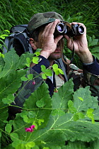 Park ranger, Ramazan Khubiev, looking through binoculars searching for mammals in the Arkhyz valley, the western part of the Teberdinsky Biosphere reserve, Caucasus, Russia, July 2008 (Model released)